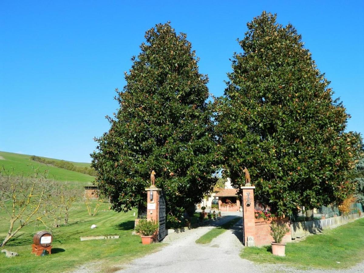 Francigena Bed & Breakfast San Casciano dei Bagni Ngoại thất bức ảnh